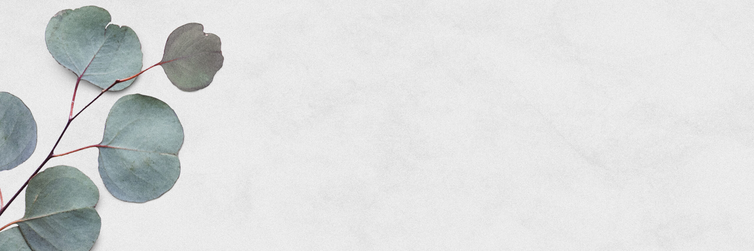 Buy Kia Tiles Online Shop Ceramic Tiles at Best Price